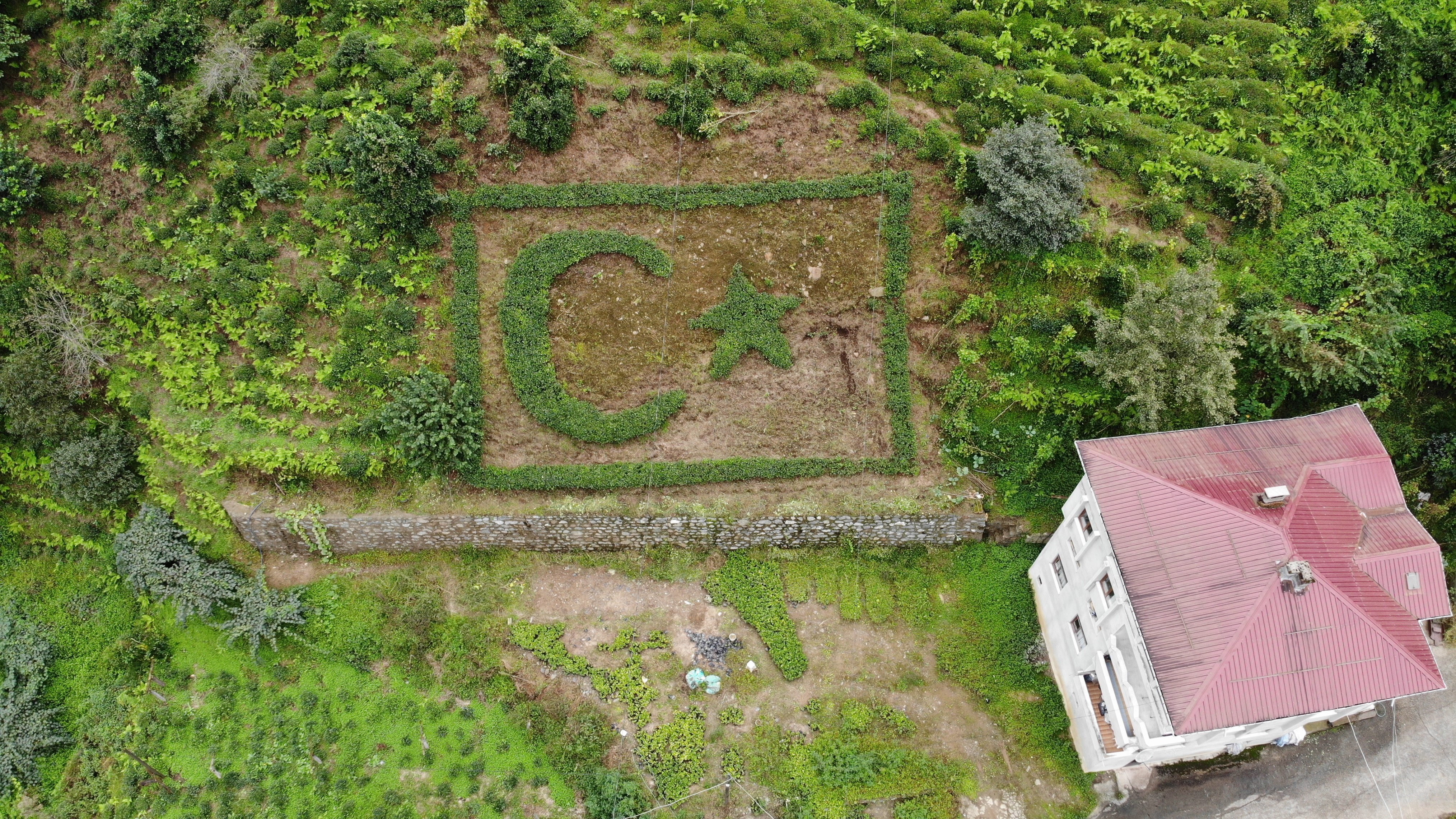 Türk Bayrağını Bahçesine Çay Fidanlarıyla Işledi Gencgazete (3)