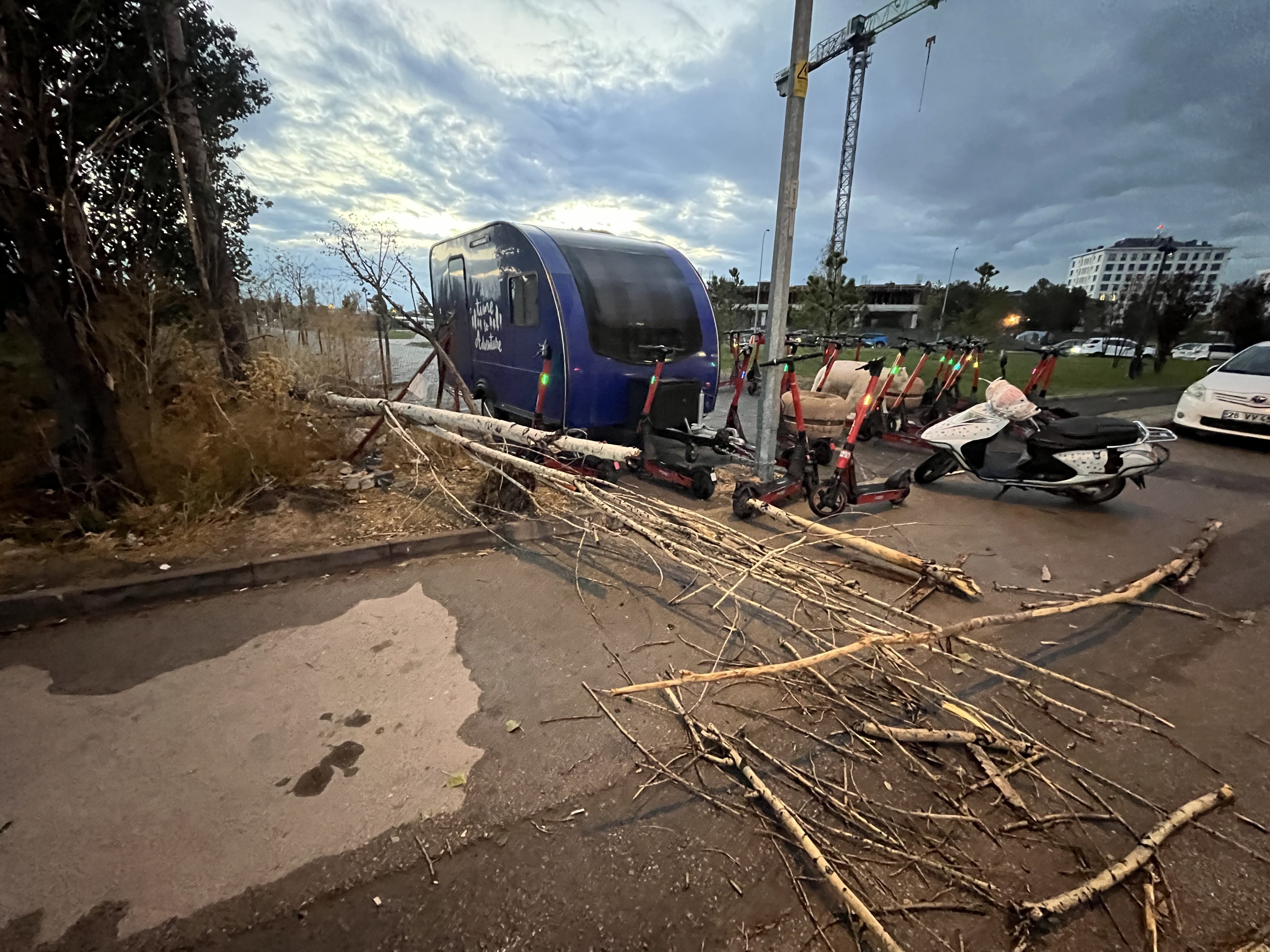 Üzerine Ağaç Dalı Düşen Araç Kullanılamaz Hale Geldi (1)