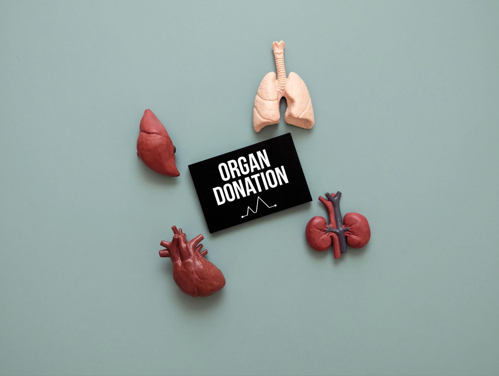 03 Kasım Ne Günü Organ Bagis Gencgazete (1)