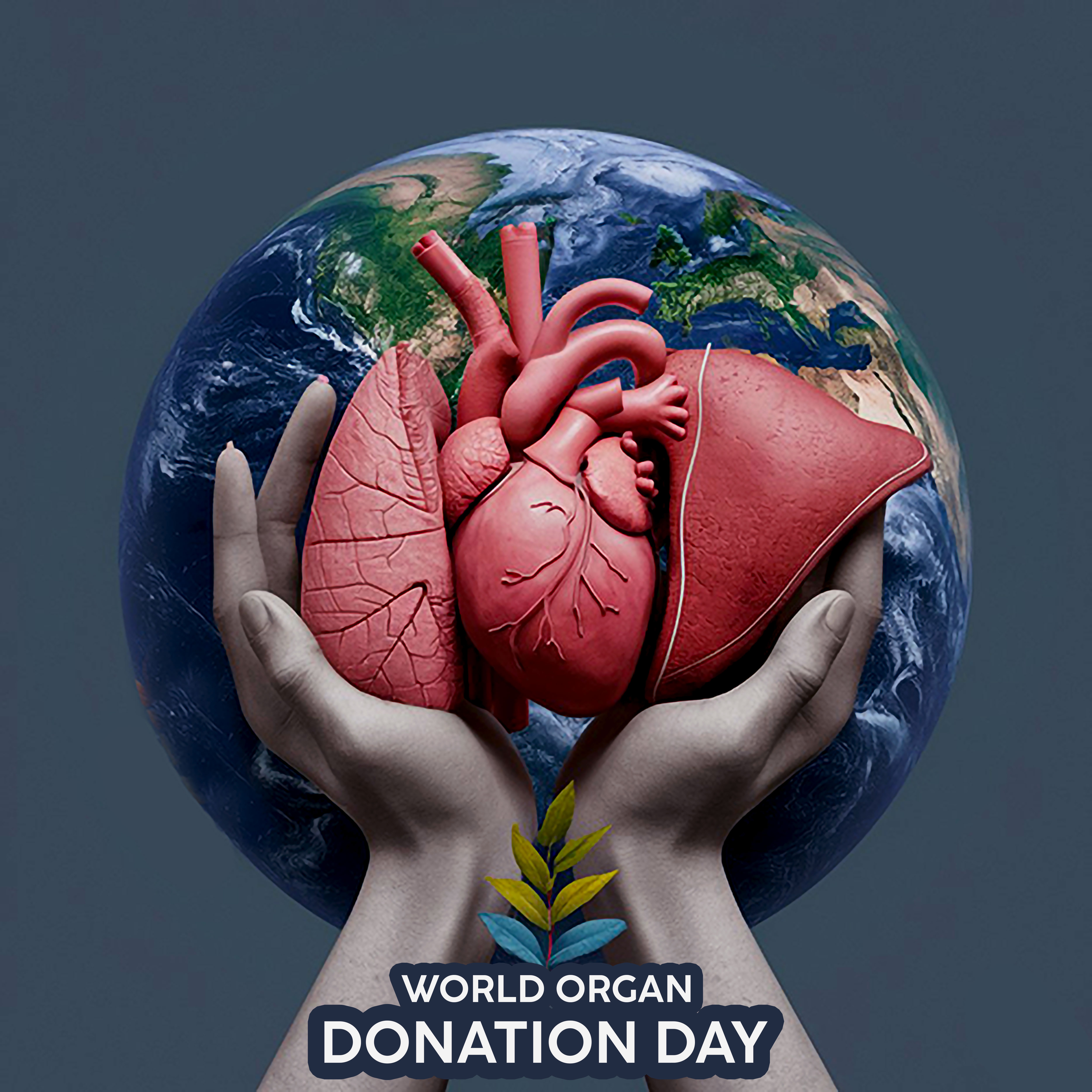 03 Kasım Ne Günü Organ Bagis Gencgazete (8)