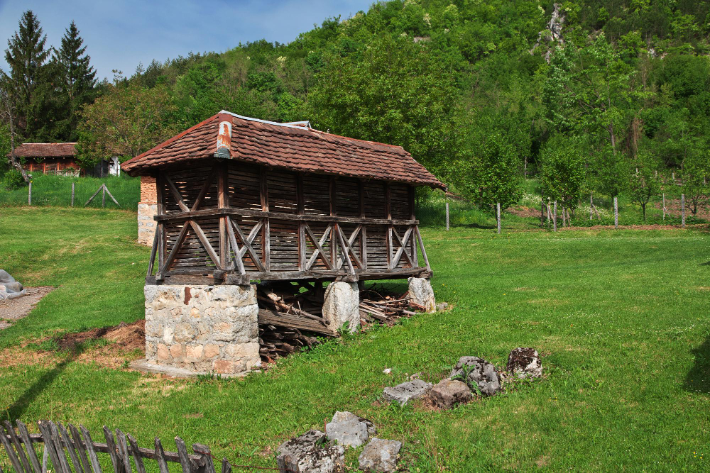 16 Kasım Ne Günü Gençgazete (4)