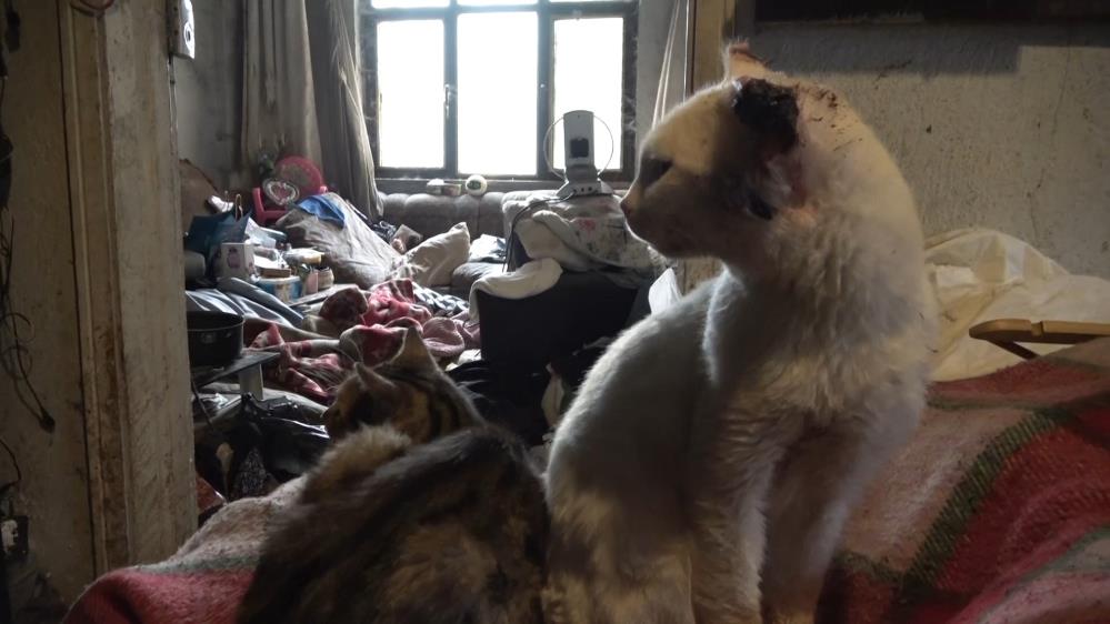 2 kamyon dolusu çöp çıkarıldı