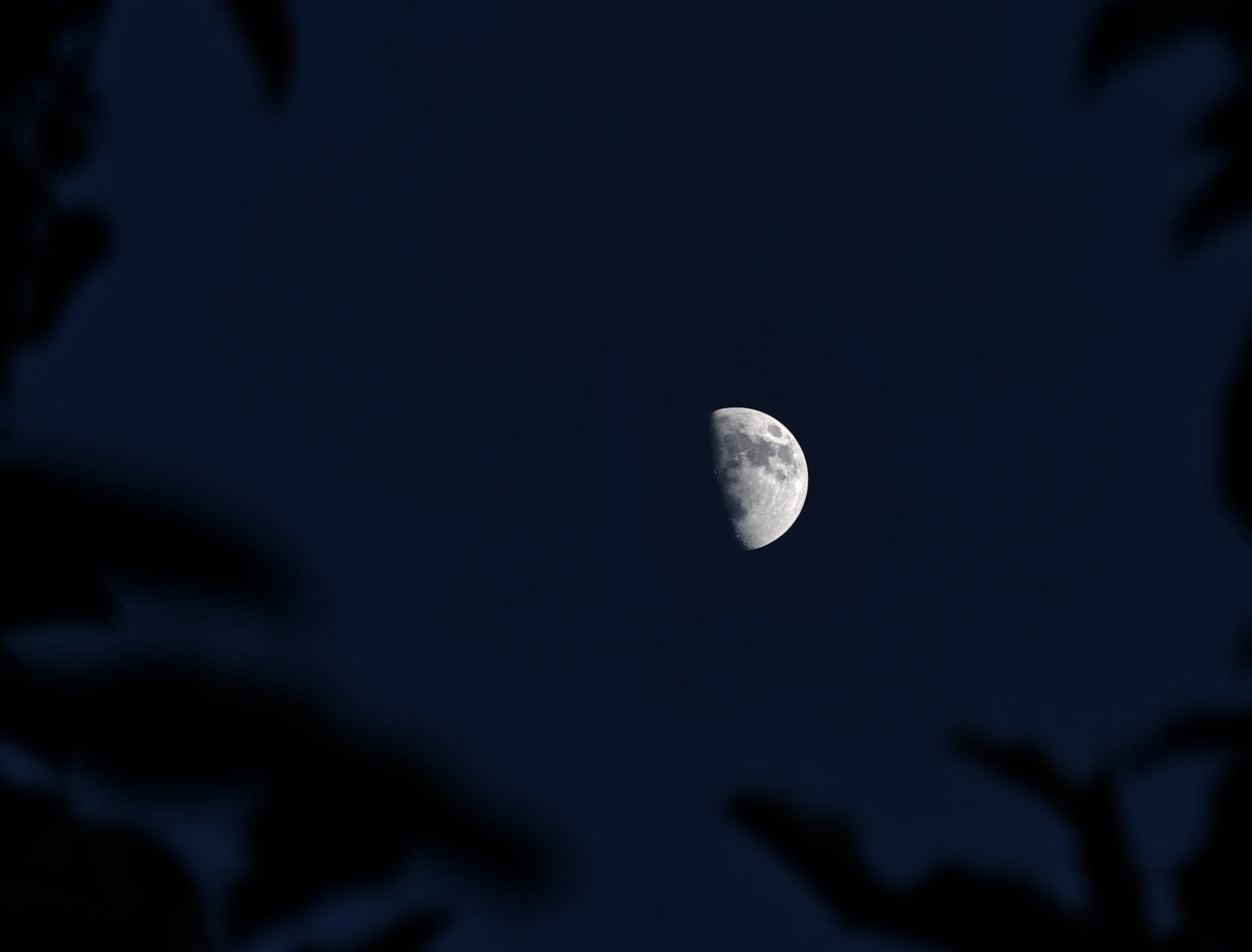 Ahlat’ta Gün Batımı Sonrası Ortaya Çıkan Yarım Ay, Ağaç Dallarıyla Birleşerek Kartpostallık Görüntüler Oluşturdu. Doğa Tutkunları Manzaraya Hayran Kaldı (1)