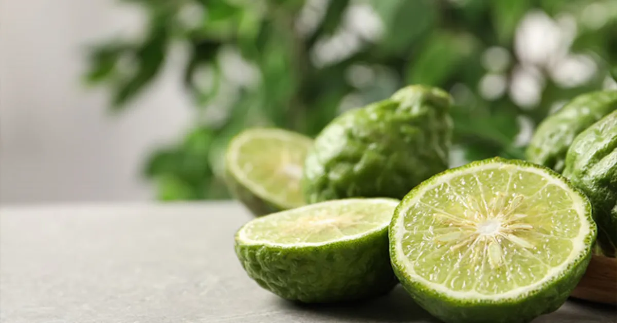 Bergamot Nedir Bergamotun Faydaları Nelerdir, Hangi Alanlarda Kullanılır Ve Neden Bu Kadar Değerli Bir Bitkidir (4)
