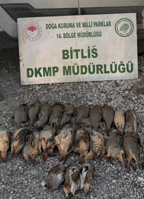 Bitlis’te Kota Aşımı Yapan 5 Avcıya 63 Bin 680 Tl Ceza (1)