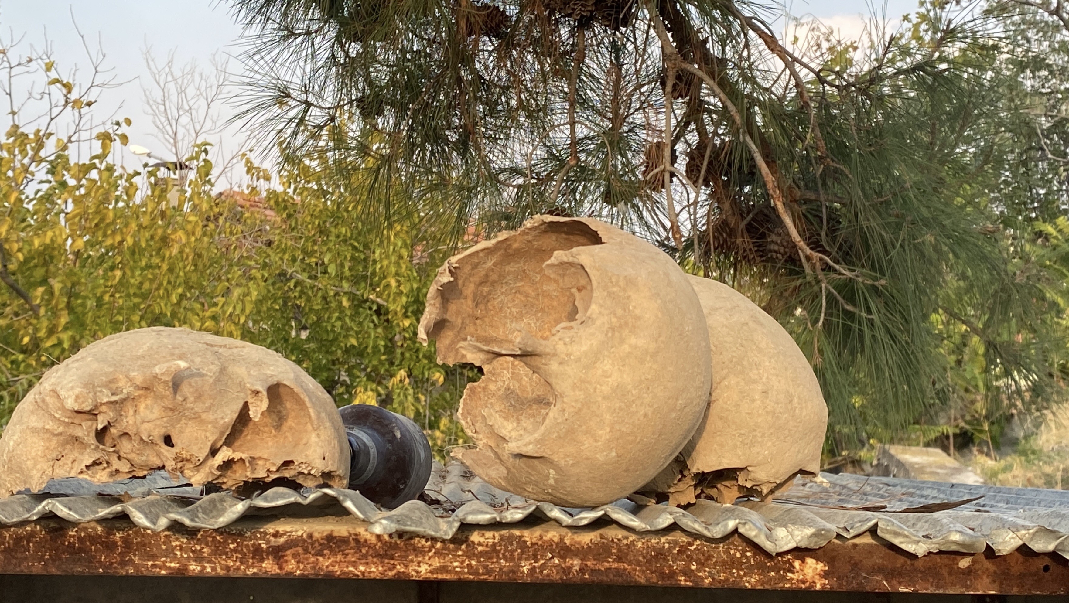 Burdur'da Belediyenin Kazı Çalışması Sırasında Insan Kemikleri Bulundu (3)