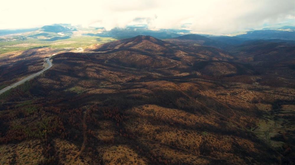 Bursa’da 953 Hektar Kül Oldu! Manzara Içler Acısı (1)