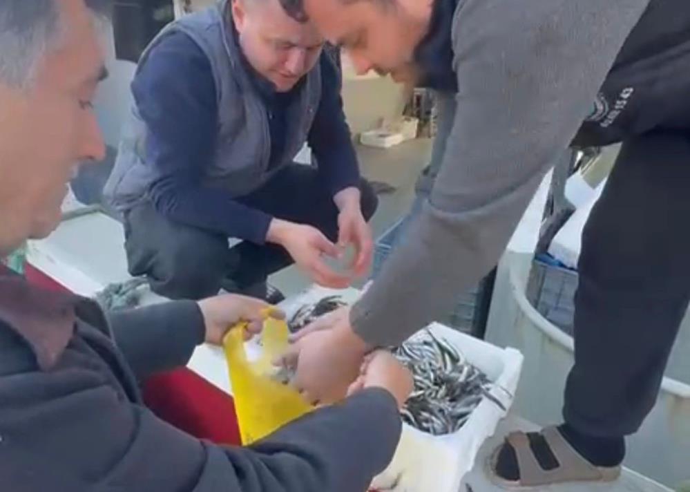 Bursa'da Hamsi 80 Tl, Bandırma'da 200 Tl! Vatandaşlar Çileden Çıktı.. (3)