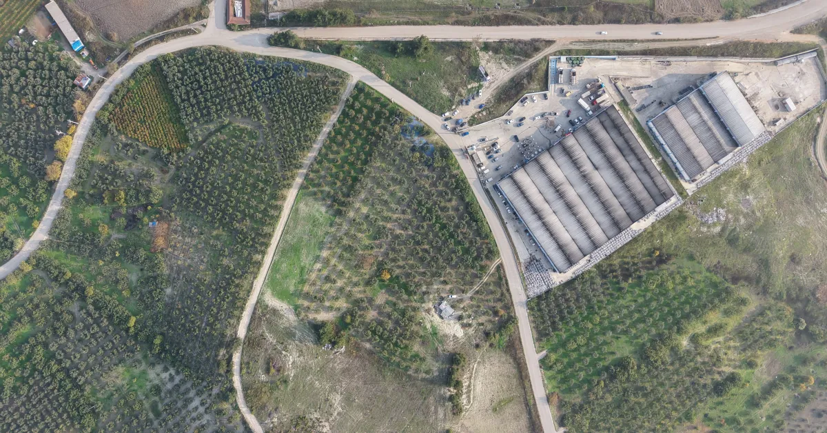 Bursa’da Zeytin Hasadı Başladı Rekolte Beklentisi Yüksek (2)