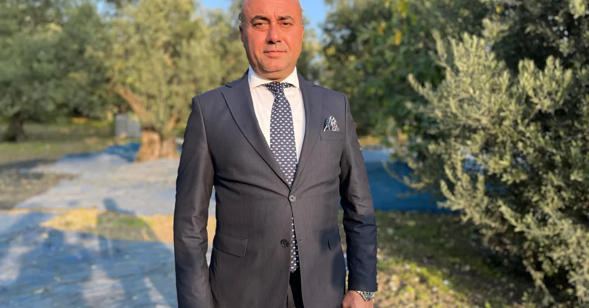 Bursa’da Zeytin Hasadı Başladı Rekolte Beklentisi Yüksek (6)