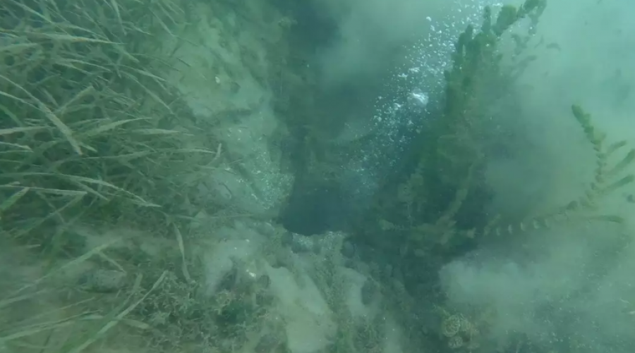 Büyük Bir Deprem Mi Olacak! Sapanca Gölü’ndeki Kabarcıklar Tehlikeyi Gösteriyor (2)