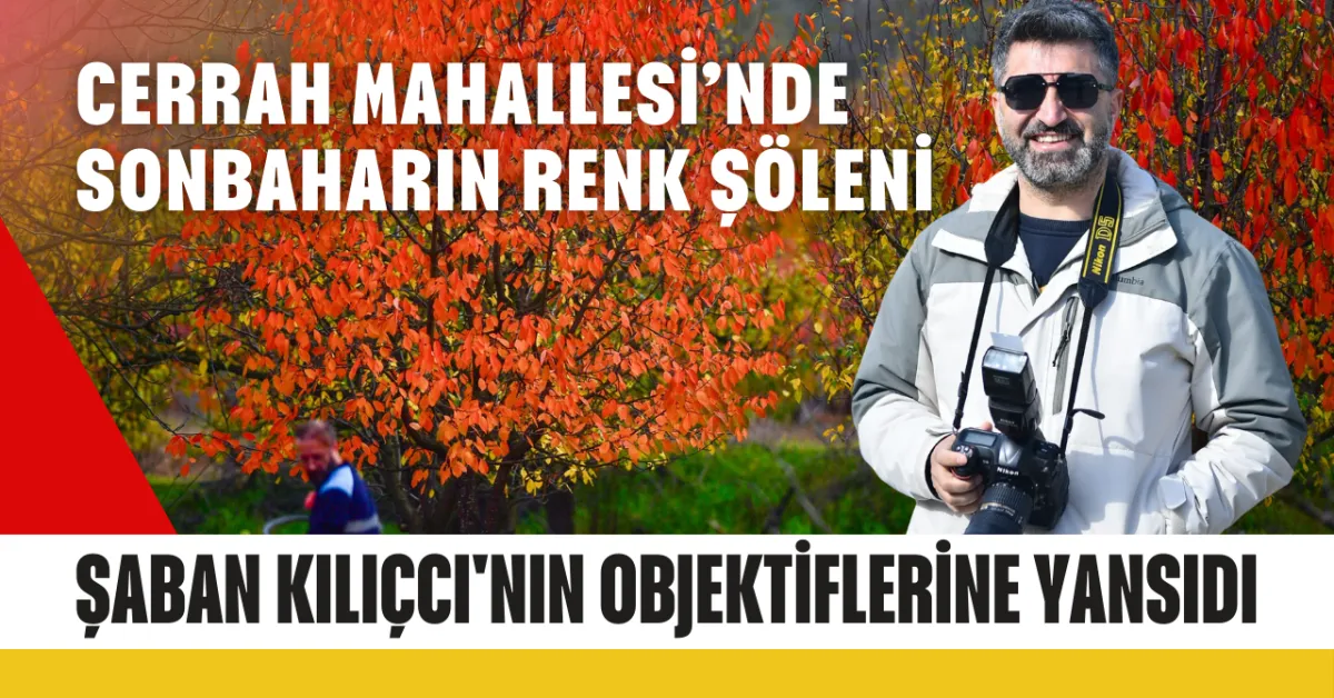 Cerrah Mahallesi’nde sonbaharın renk şöleni Şaban Kılıçcı'nın objektiflerine yansıdı