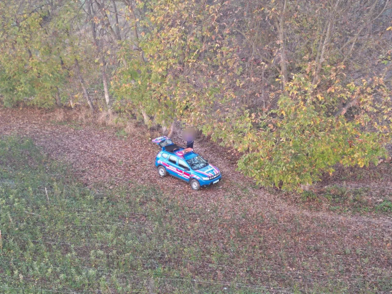 E8F8Cf14 5050 460A B796 F3408F768733-1