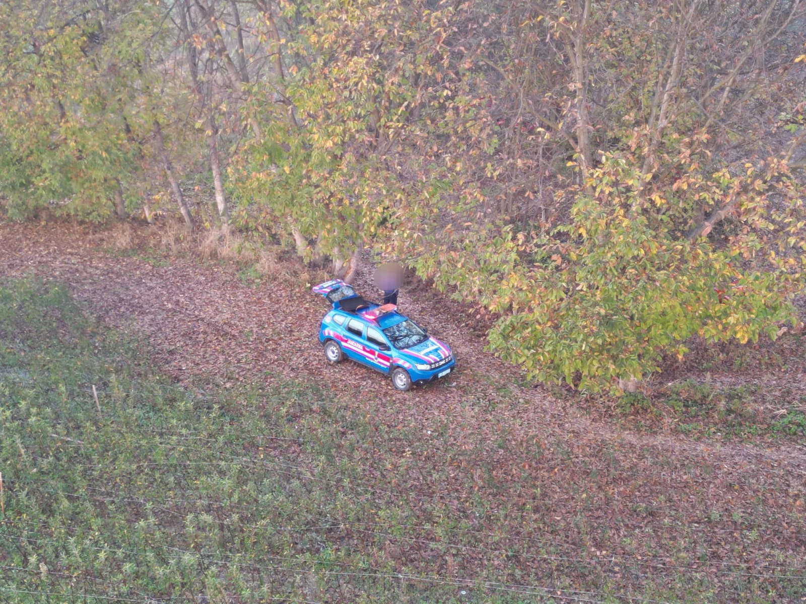 E8F8Cf14 5050 460A B796 F3408F768733