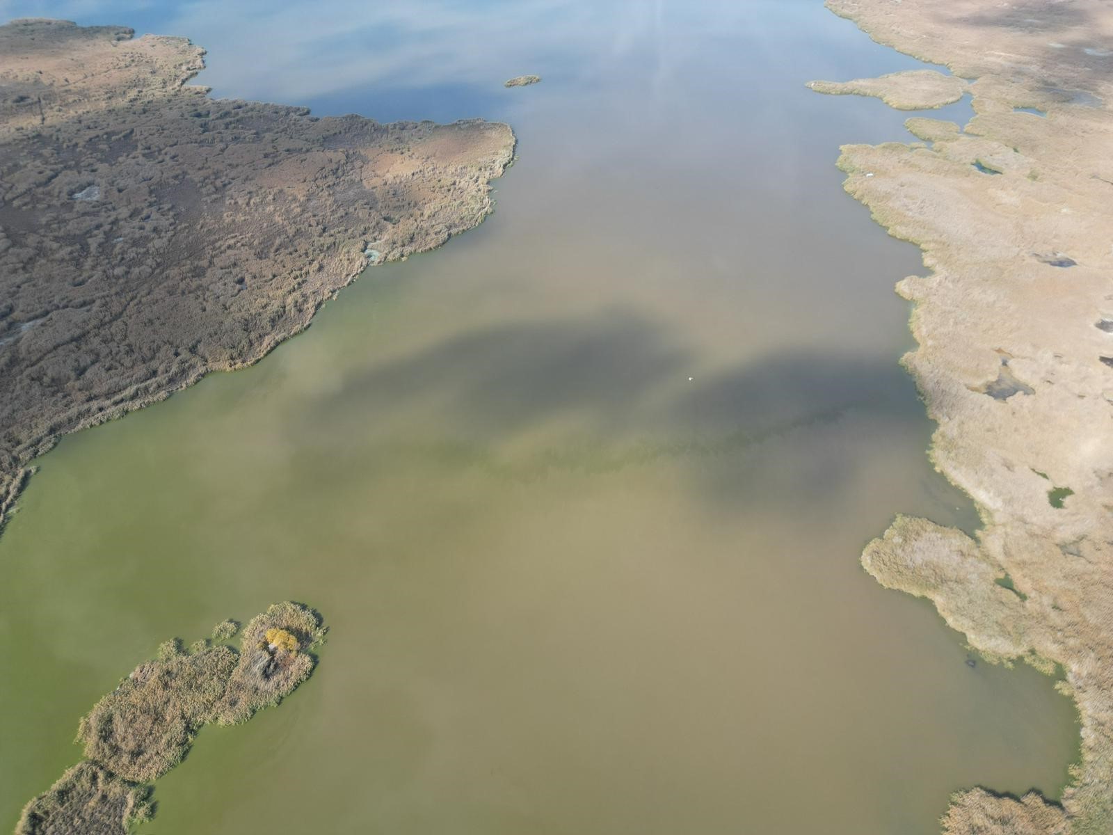 Eber Gölü Şimdi De Kirlilik Ile Gündemde (3)