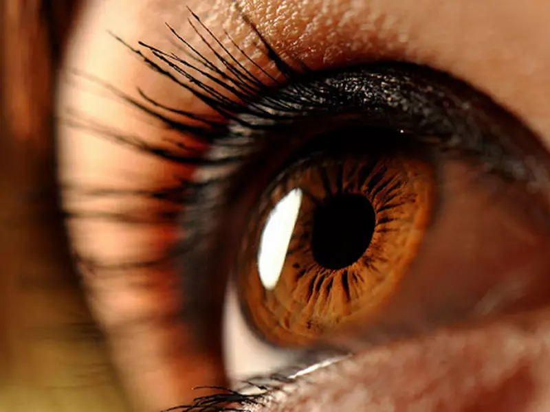 Göz Rengi Zamanla Değişir Mi Bu Durum Hangi Faktörlerden Kaynaklanıyor (3)