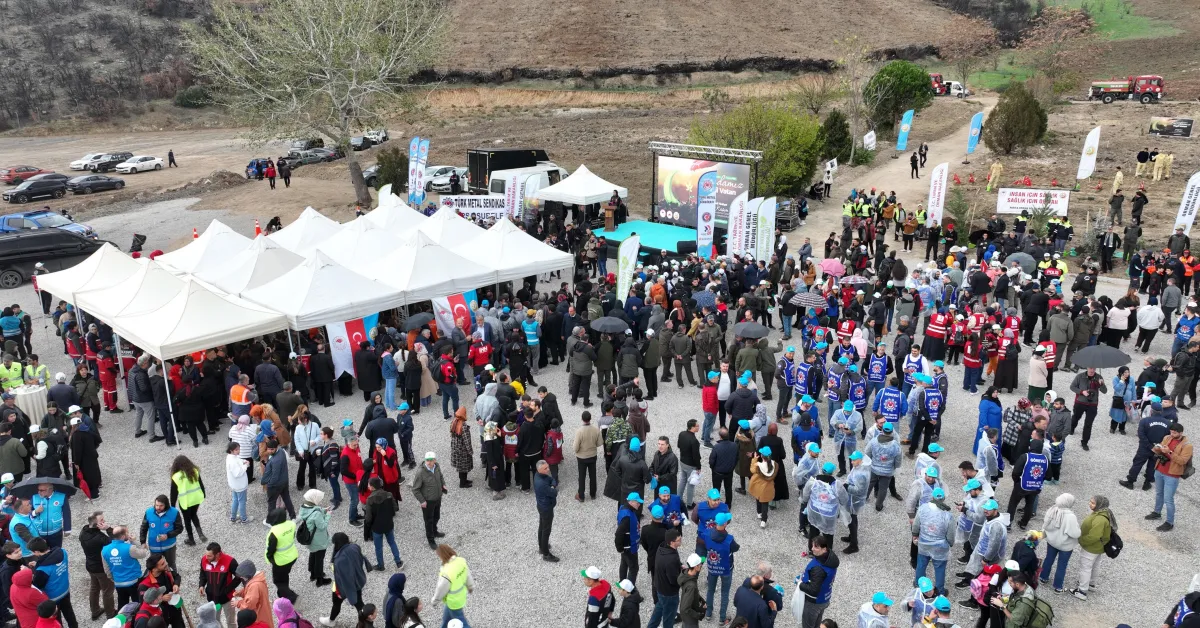 Gürsu’da Yanan Ormanlar Yeniden Yeşeriyor 30 Bin Fidan Toprakla Buluştu (2)