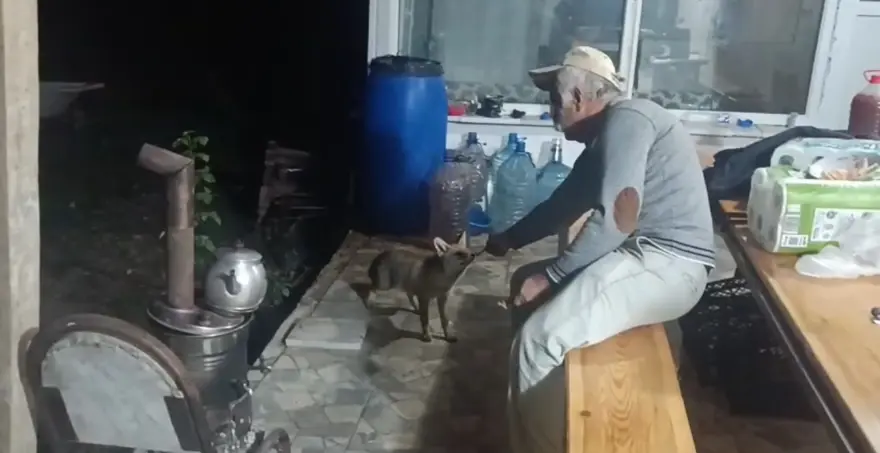 Her Akşam Gelen Alışılmadık Misafirlik! (2)