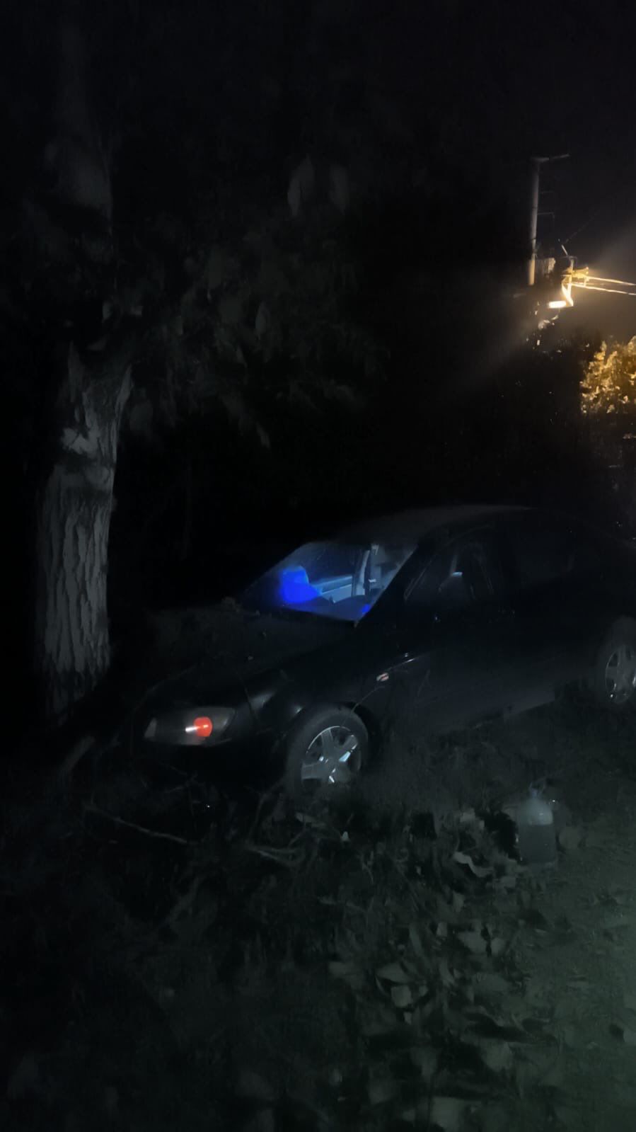 İnegöl’de Otomobil Ağaca Çarptı (1)