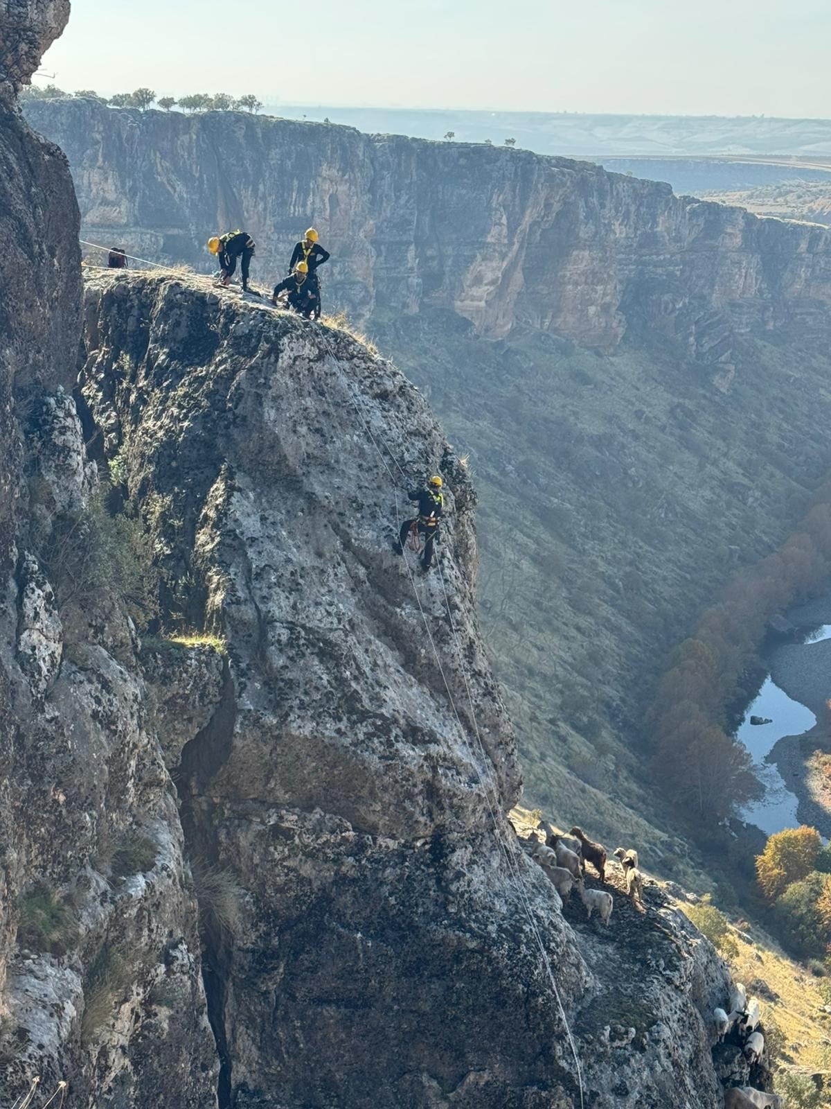 Kayalıklarda Mahsur Kalan 25 Keçi Kurtarıldı (2)