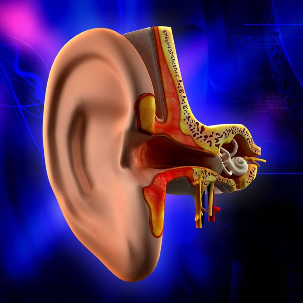 Kulakta Sıvı Birikmesi Nedir Hangi Belirtilerle Anlaşılır Ve Ne Zaman Ciddi Bir Duruma Dönüşür (1)-1