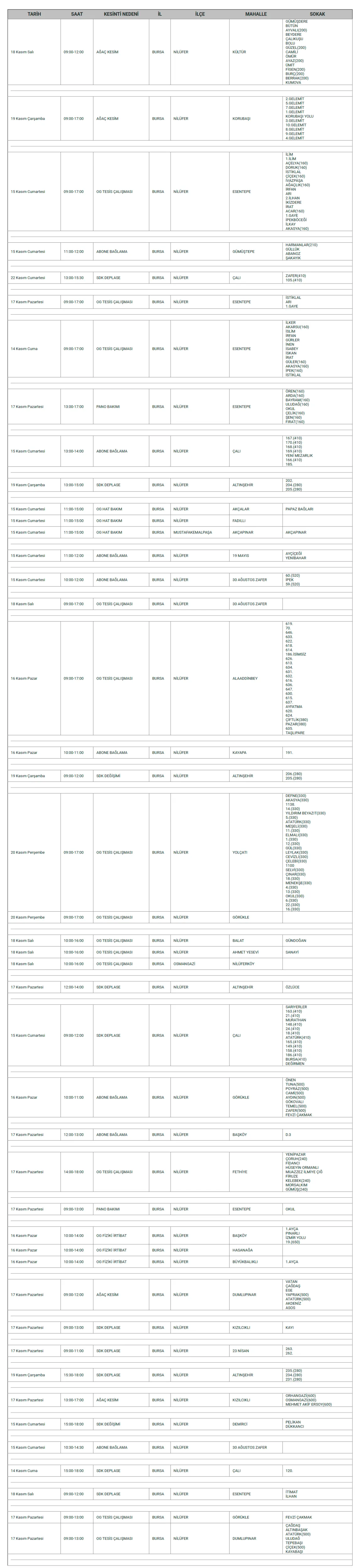 N İ L Ü F E R Gencgazete-1