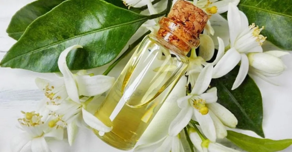 Nioli Yağı Nedir Doğadan Gelen Bu Güçlü Yağ Gerçekten Nelere İyi Geliyor Mu (2)