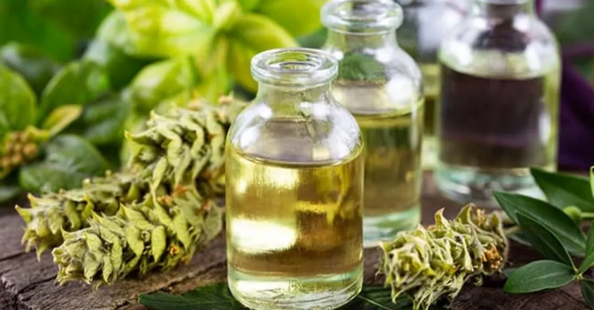 Nioli Yağı Nedir Doğadan Gelen Bu Güçlü Yağ Gerçekten Nelere İyi Geliyor Mu (4)