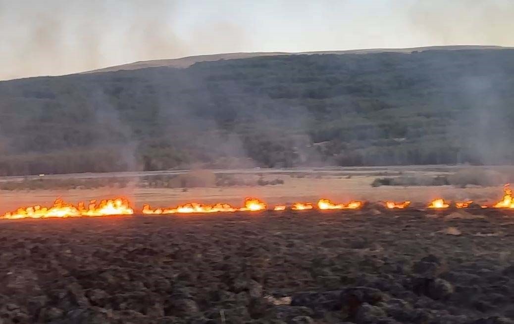 Putka Gölü'nde Çıkan Yangın Korkuttu (2)