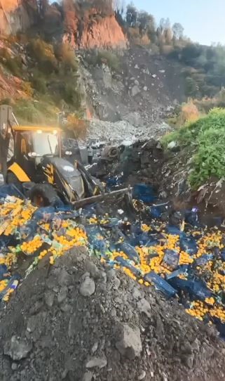 Sarp Sınır Kapısı’nda 6 Ton Mandalina Imha Edildi (1)