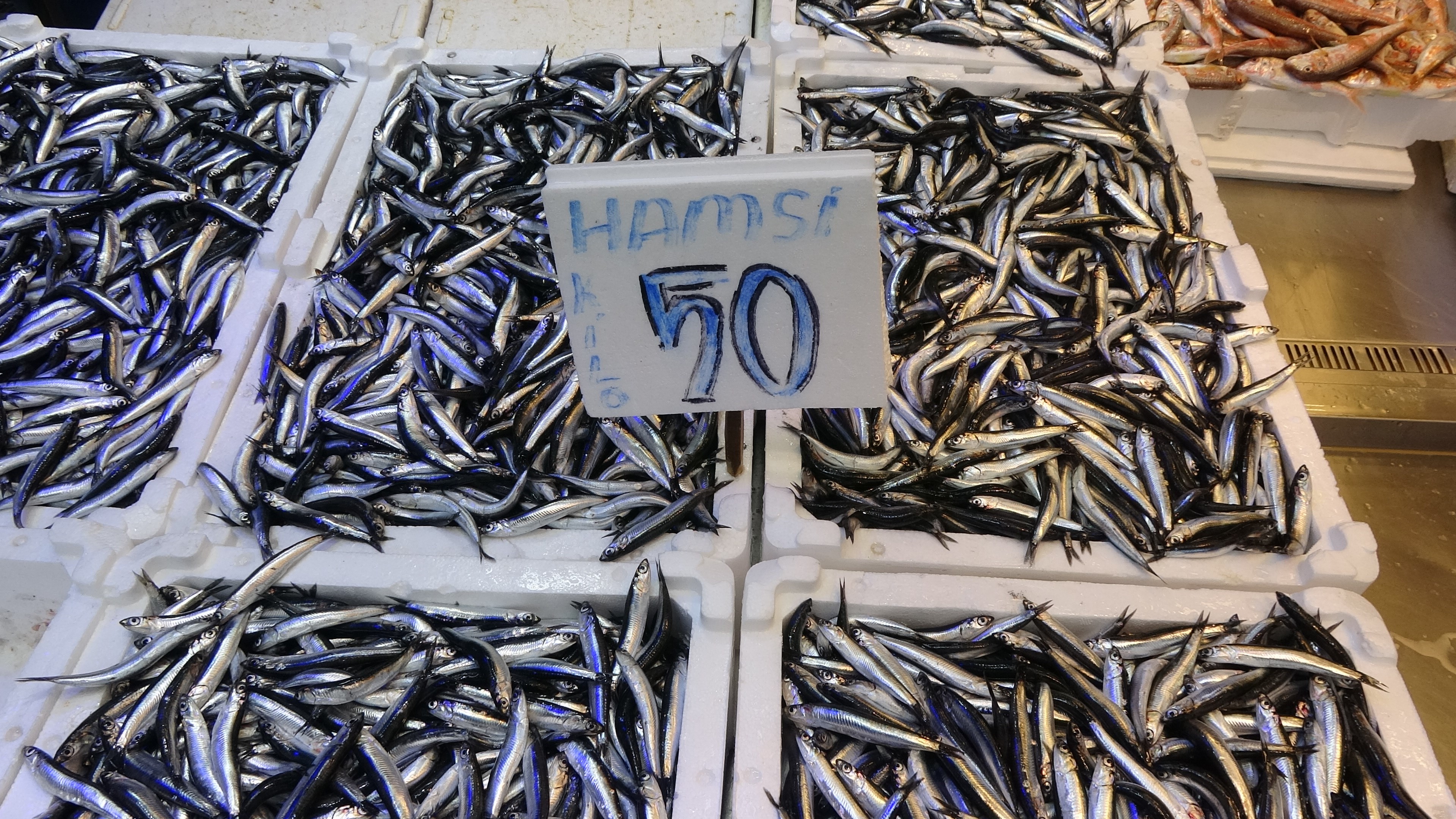 Trabzonlular Hamsiye Doydu (1)