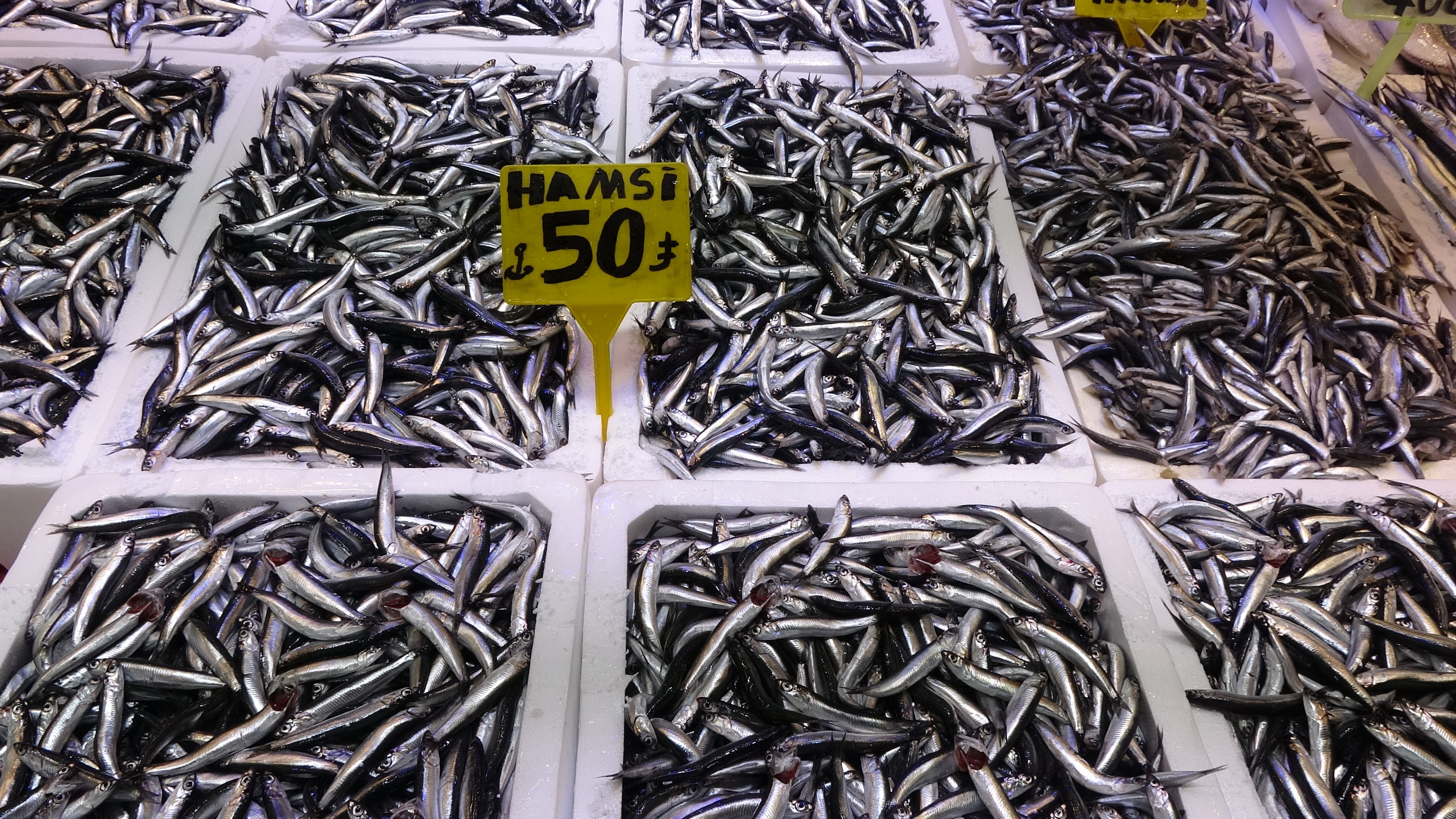 Trabzonlular Hamsiye Doydu (2)