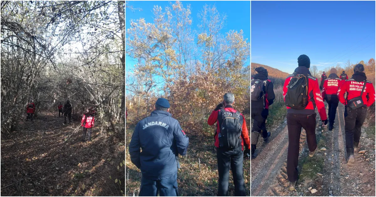 Yenişehir’de Mantar Toplarken Kaybolan Kişi Için Arama Sürüyor