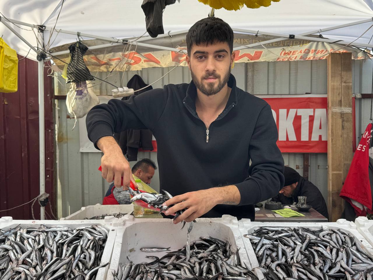 Zonguldak'ta Hamsi Azaldı, Fiyatlar Yeniden Yükselişte (2)