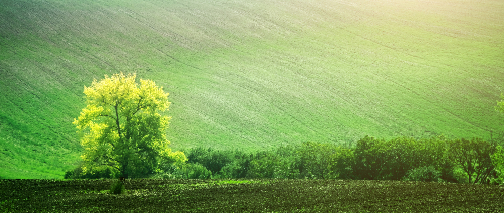 29 Aralık Ne Günü Gençgazete (7)