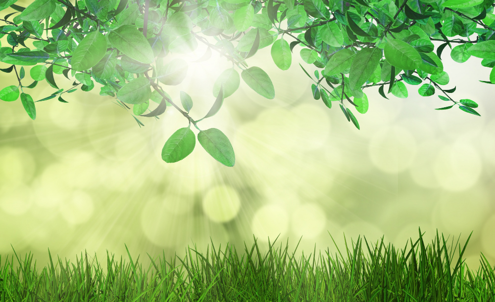 29 Aralık Ne Günü Gençgazete (8)