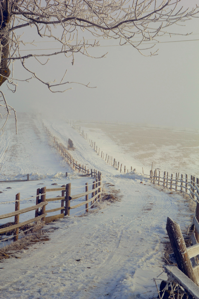 30 Aralık Ne Günü Kar Kış Manzaraları Gençgazete (10)