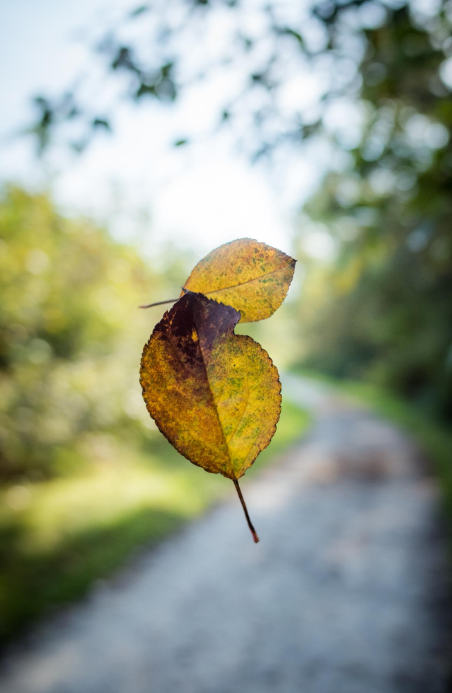 Abdest Alamayan Kadın Teyemmüm Edebilir Mi Gencgazete (8)