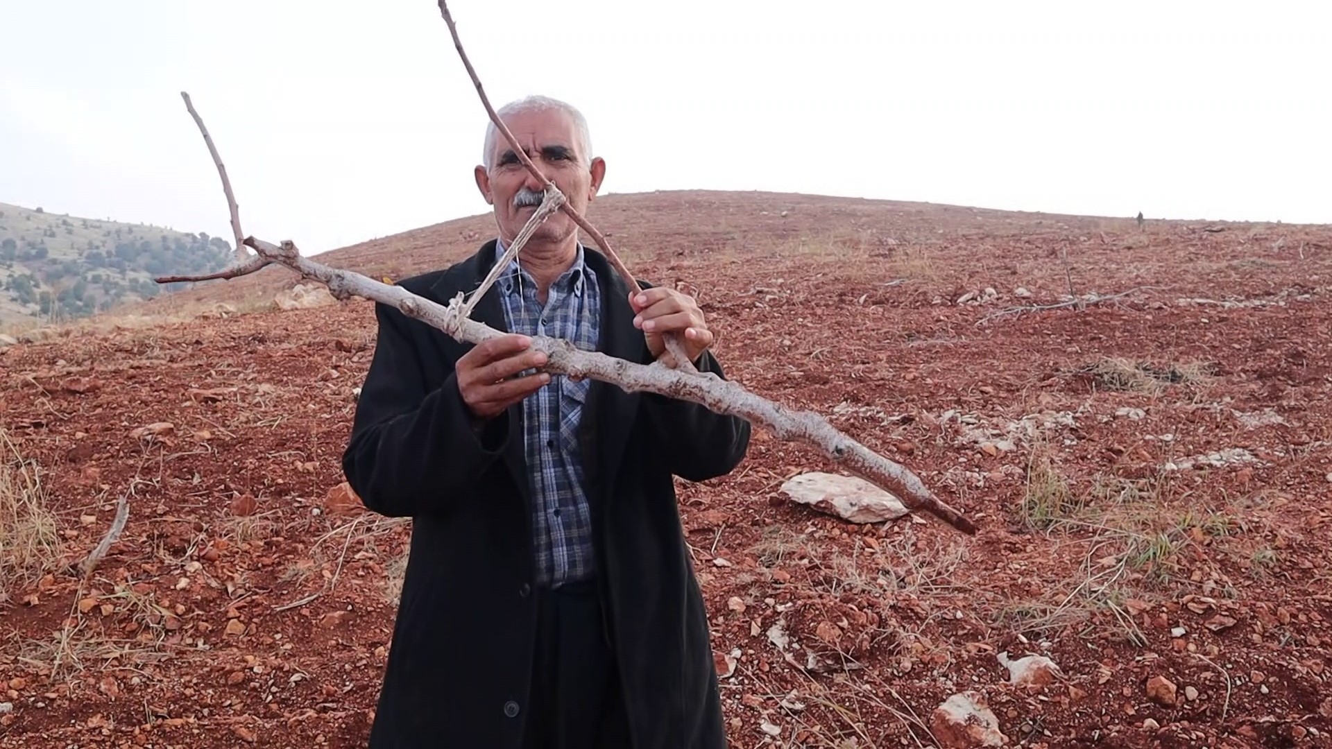 Adıyaman'da 10 Bin Ağaç Kırılarak Yok Edildi (2)