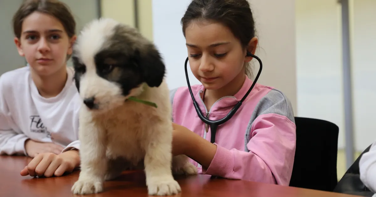 Bursa Büyükşehir Belediyesi’nin Düzenlediği “Bir Günlüğüne Veteriner Hekim Oluyorum” Etkinliğinde Çocuklara Hayvan Sevgisi Ve Veterinerlik Mesleği Tanıtıldı (1)
