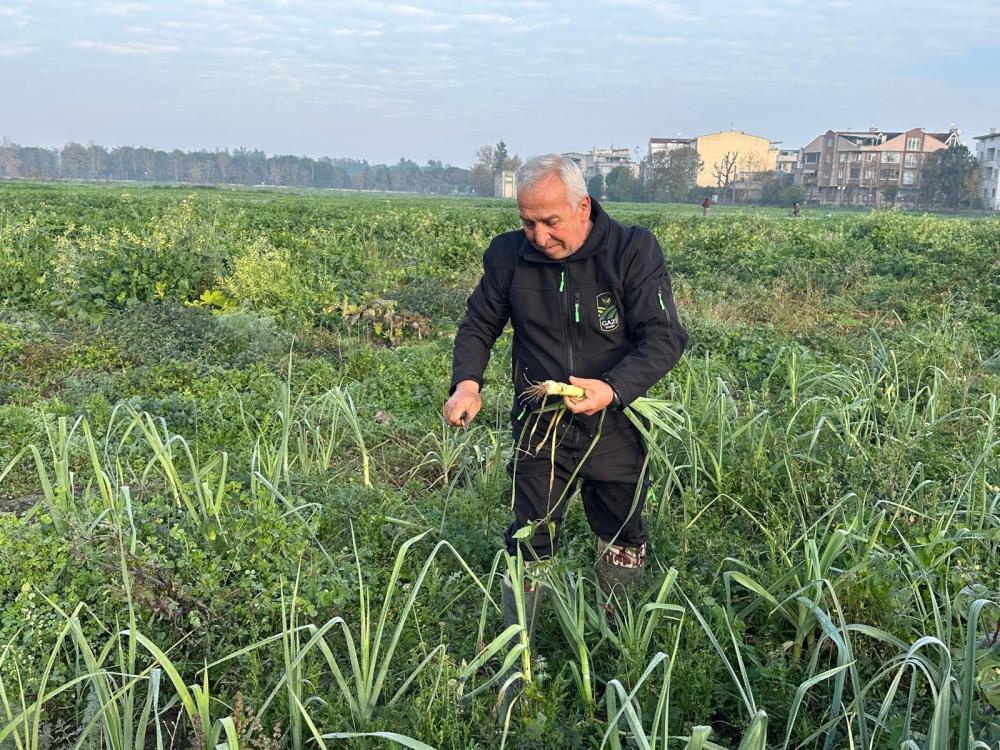 Bursa Kent Lokantası’nda Ata Tohumundan Üretilen Doğal Sebzeler (1)