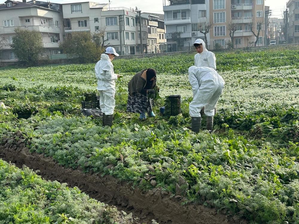 Bursa Kent Lokantası’nda Ata Tohumundan Üretilen Doğal Sebzeler (4)