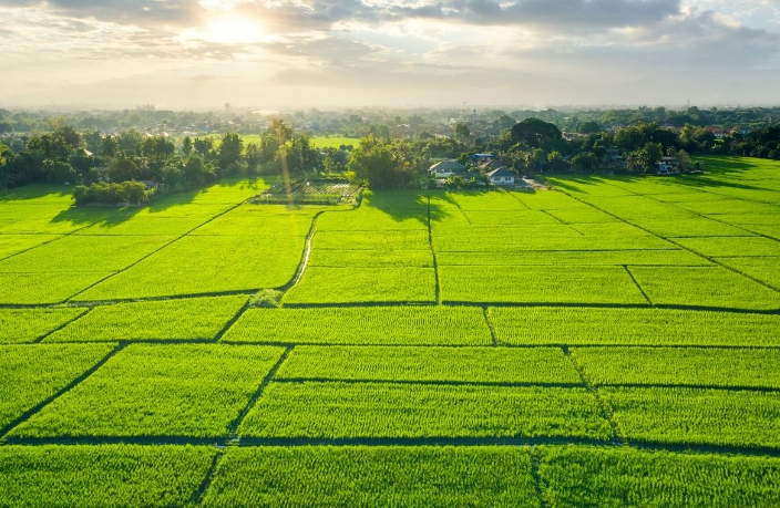 Bursa Ve 37 İlde Dev Arsa Satışı Başlıyor! Toki̇’den Büyük Fırsat (2)
