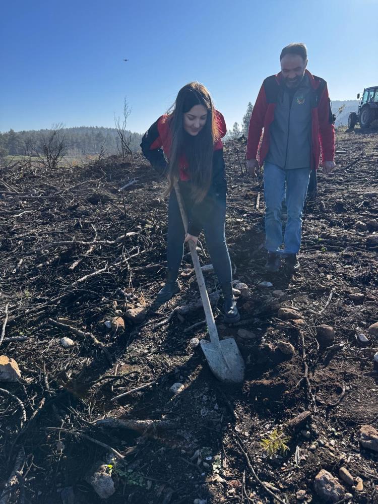 Bursa'da 188 Fidan Toprakla Buluştu! (2)
