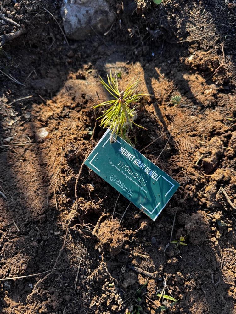 Bursa'da 188 Fidan Toprakla Buluştu! (3)