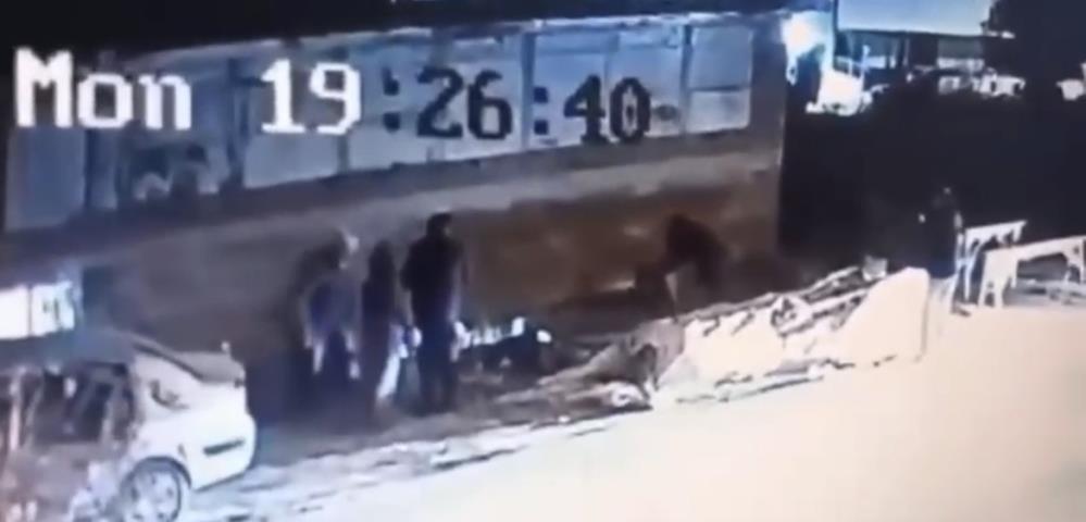 Bursa'da Başıboş Köpek Sokakta Dehşet Saçtı! (2)