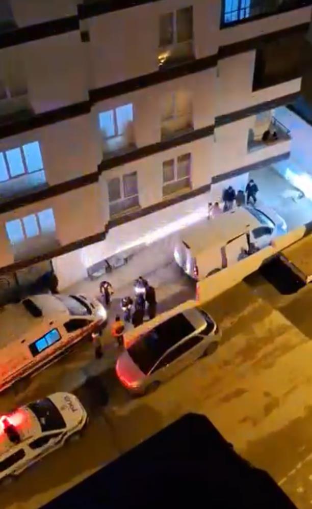 Bursa'da Başıboş Köpek Sokakta Dehşet Saçtı! (3)