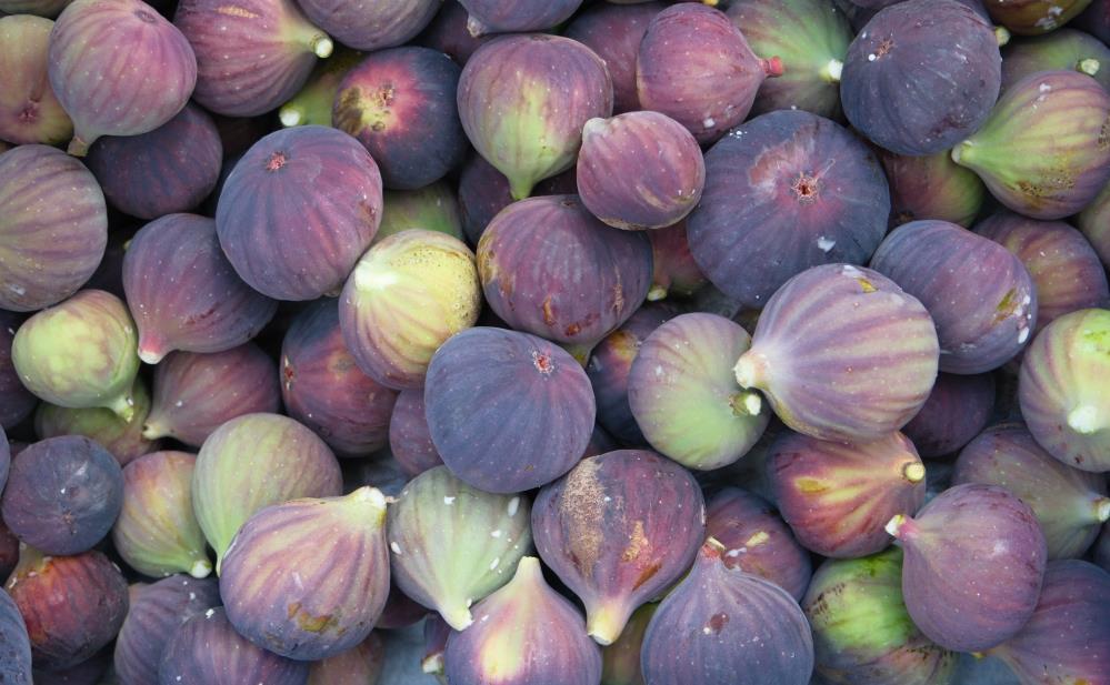 Bursa'da Coğrafi İşaret Bilinirliği Yüzde 78’E Yükseldi! (2)