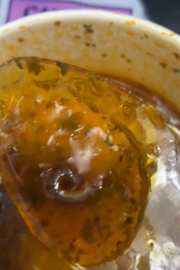 Bursa’da Çorba Skandalı! Bakın Çorbanın İçinden Ne Çıktı (1)