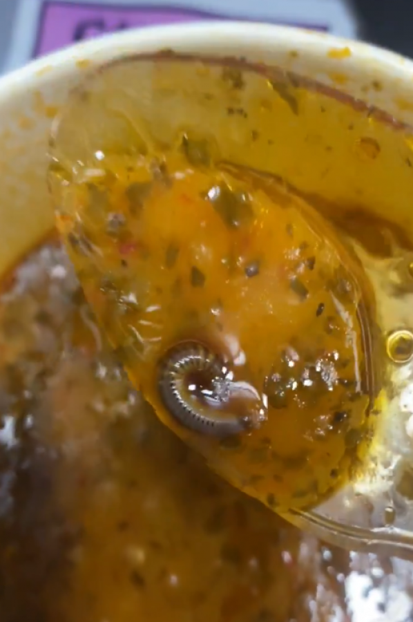 Bursa’da Çorba Skandalı! Bakın Çorbanın İçinden Ne Çıktı (2)